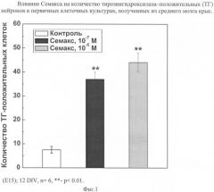 Способ оценки экспрессии генов нейротрофинов (патент 2383619)