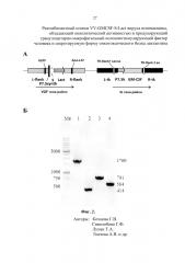 Рекомбинантный штамм vv-gmcsf-s-lact вируса осповакцины, обладающий онколитической активностью и продуцирующий гранулоцитарно-макрофагальный колониестимулирующий фактор человека и секретируемую форму онкотоксического белка лактаптина (патент 2621861)