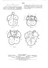 Способ получения органных культур сердца (патент 463707)
