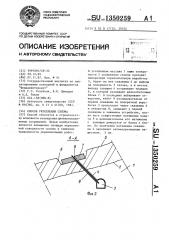 Способ укрепления склона (патент 1350259)