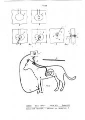Способ установки датчика с проводом в исследуемом органе животного (патент 740256)