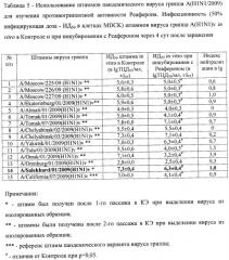 Штамм а/salekhard/01/2009(h1n1)v вируса гриппа а субтипа h1n1 для исследования лечебной и профилактической эффективности препаратов против вируса гриппа (патент 2457242)