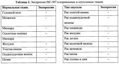 Идентификация опухолеассоциированных антигенов для диагностики и терапии (патент 2644686)