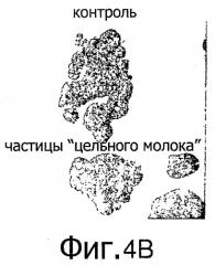 Гранулированные молочные продукты (патент 2540143)