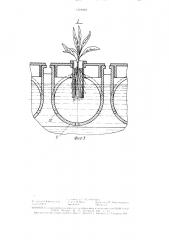 Устройство для выращивания растений 