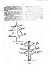 Устройство для крепления ветвей плодовых деревьев (патент 1748738)