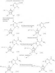 Производные пиразина или их соли, фармацевтическая композиция, содержащая данные соединения, и промежуточные соединения для их получения (патент 2297414)
