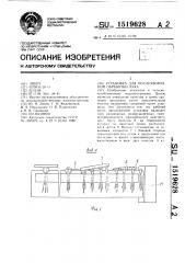 Установка для послеуборочной обработки лука (патент 1519628)