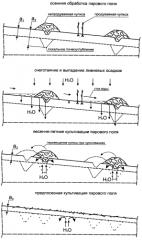 Способ обработки почвы в паровом поле (патент 2564849)
