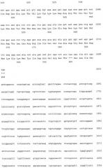 Рекомбинантная плазмида pag85a-cbd, штамм escherichia coli [prep4, pag85a-cbd], химерный белок ag85a-cbd и их применение (патент 2429292)