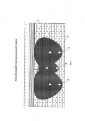 Способ разработки высоковязкой нефти (патент 2663532)