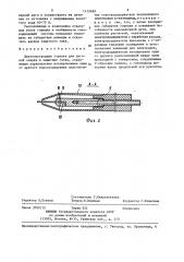 Двухэлектродная горелка (патент 1412899)