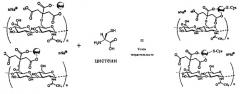 Твердофазный способ получения водорастворимого биоактивного нанокомпозита на основе модифицированной лимонной кислотой гиалуроновой кислоты и наночастиц золота (патент 2534789)