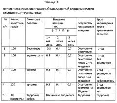 Инактивированная бивалентная гидроокись алюминиевая вакцина против кампилобактериоза собак (патент 2643335)