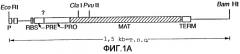 Вариант субтилизина bacillus (варианты), кодирующая его днк, экспрессирующий вектор и очищающая композиция (патент 2252254)