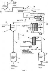 Композиция изолята канолового белка (canola protein) (патент 2343711)