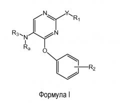 Феноксизамещенные пиримидины для использования в качестве модуляторов опиоидных рецепторов (патент 2554870)