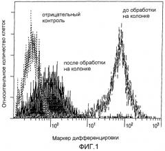 Способ размножения кроветворных стволовых клеток (патент 2297451)