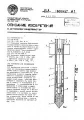 Устройство для исследования грунтов (патент 1609857)