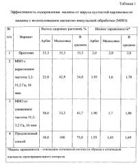 Способ оздоровления от вирусов растений малины, выращиваемых in vitro (патент 2555443)