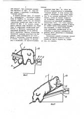 Установка для подачи овец на зооветобработку (патент 1090305)