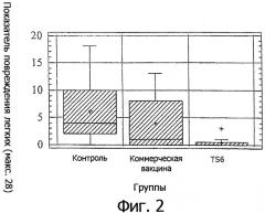 Вакцинная композиция и способ индуцирования иммунологического ответа у животного (патент 2354399)