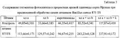 Штамм микроорганизма bacillus cereus 875 ts в качестве средства повышения продуктивности растений (патент 2624032)