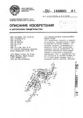 Широкозахватное сельскохозяйственное орудие (патент 1438641)