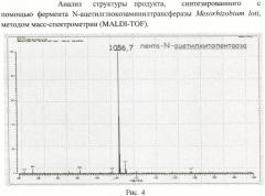 Способ ферментативного получения пента-n-ацетилхитопентаозы (патент 2460800)