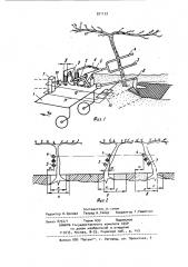 Копирующее устройство машины для обработки приствольной полосы сада (патент 971133)