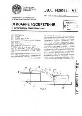 Устройство для исследования гемодинамики полых органов (патент 1426538)