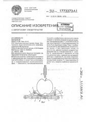Машина для подачи плодов на технологические операции (патент 1773373)
