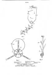 Семяуборочная машина (патент 801783)