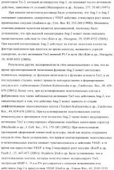 Стабилизированные антитела против ангиопоэтина-2 и их применение (патент 2509085)