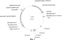 Генетические конструкции ltf3, ltf5, ltf7, ltf10, ltf11 для получения рекомбинантного лактоферрина человека (варианты) (патент 2491343)