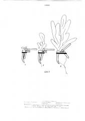 Устройство для закрепления растений при бессубстратной культуре (патент 1449055)