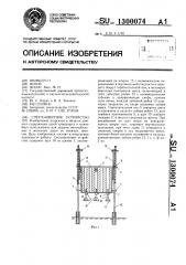 Снегозащитное устройство (патент 1300074)