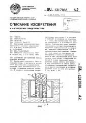 Устройство для нанесения гальванических покрытий (патент 1317036)