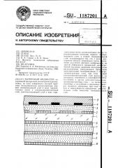 Матричный индикатор (патент 1187201)