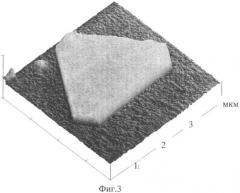 Способ получения монокристаллов благородного металла или его соли нано- и/или микроразмеров (патент 2358042)