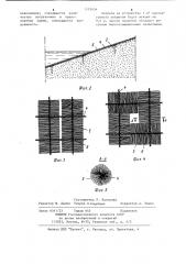 Защитное покрытие земляных откосов гидротехнических сооружений (патент 1113454)