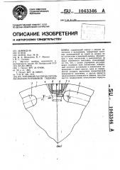 Торцовый распределитель аксиально-поршневой гидромашины (патент 1043346)