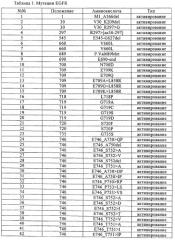 Способ лечения рака, несущего мутации egfr (патент 2492864)