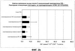 Композиция, содержащая частицы hcmv (патент 2505314)