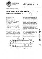 Рабочий орган камнерезной машины (патент 1254163)