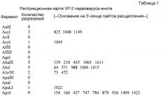 Выделение вируса, родственного парвовирусу-2 собак, от енота (патент 2565538)