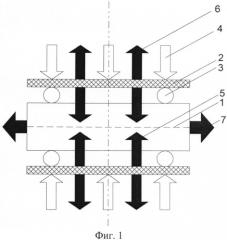 Способ формирования бидоменной структуры в пластинах монокристаллов сегнетоэлектриков (патент 2566142)