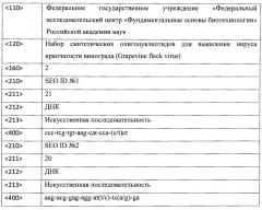 Набор синтетических олигонуклеотидов для выявления вируса крапчатости винограда (grapevine fleck virus) (патент 2644244)