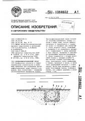 Противофильтрационный экран (патент 1384652)