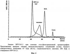 Рекомбинантный штамм дрожжей hansenula polymorpha - продуцент главного капсидного белка l1 вируса папилломы человека типа 16 (патент 2546241)